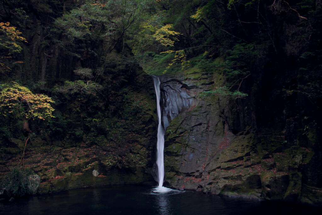 Une cascade longue et blanche dans une forêt sombre