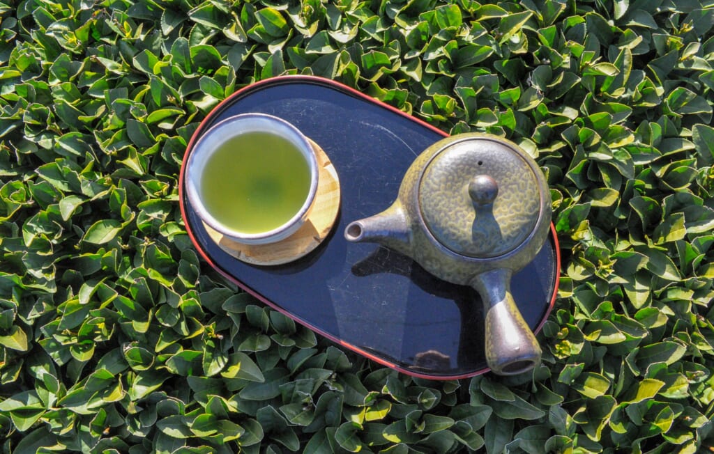 Petite pause bien méritée avec un thé sencha