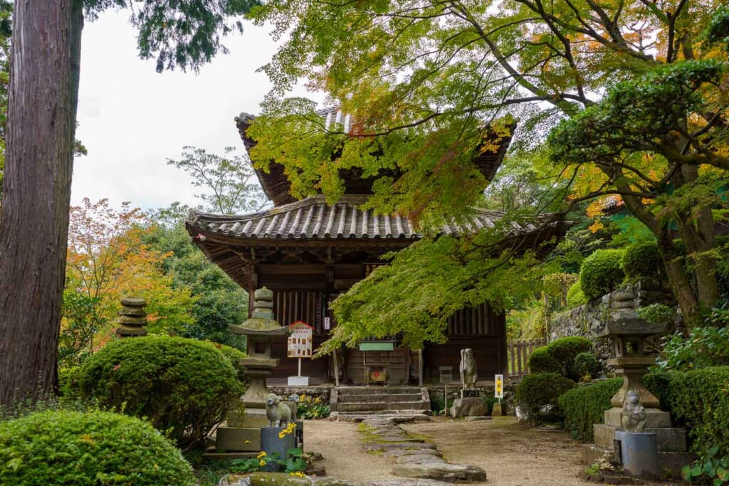 Un temple japonais du pèlerinage de Shikoku sous un érable japonais