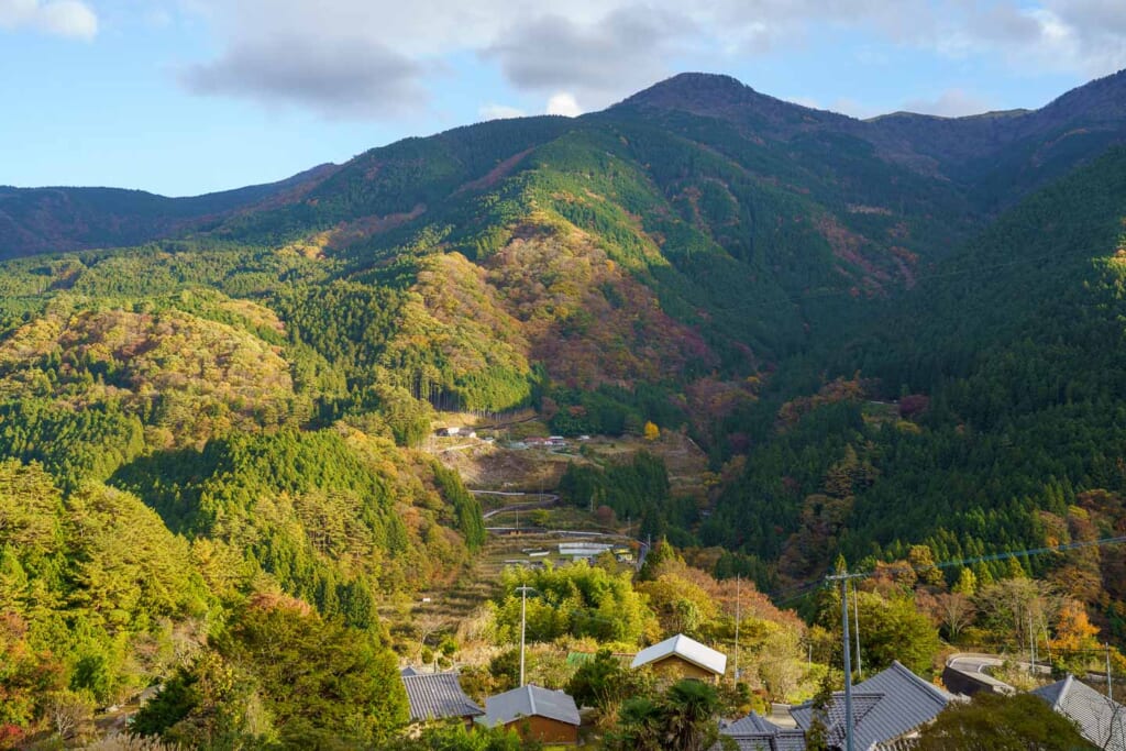 Une vallée boisée dans la préfecture de Tokushima sur l'île de Shikoku