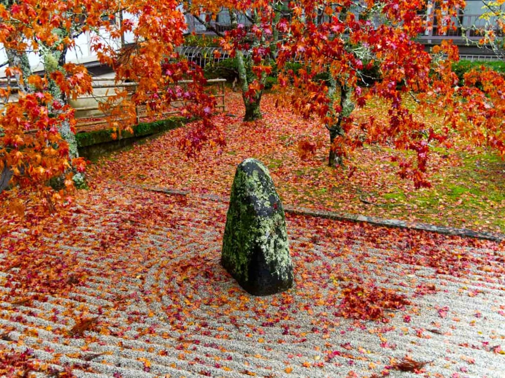 Des feuilles d'automne dans le jardin japonais d'un temple