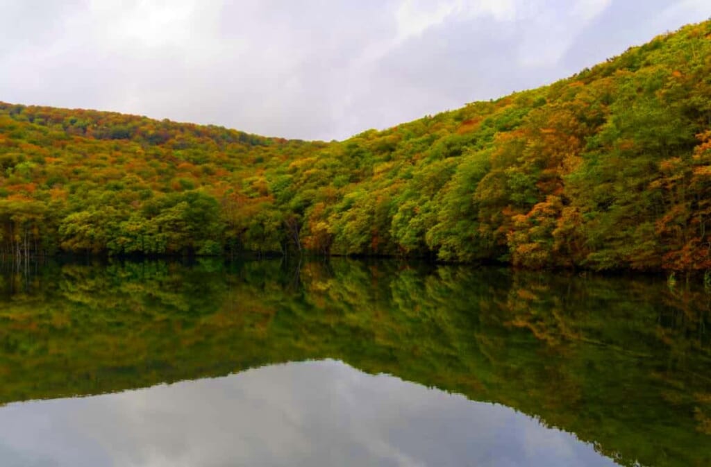 Forêt d'automne se reflétant à la surface de l'eau au Japon