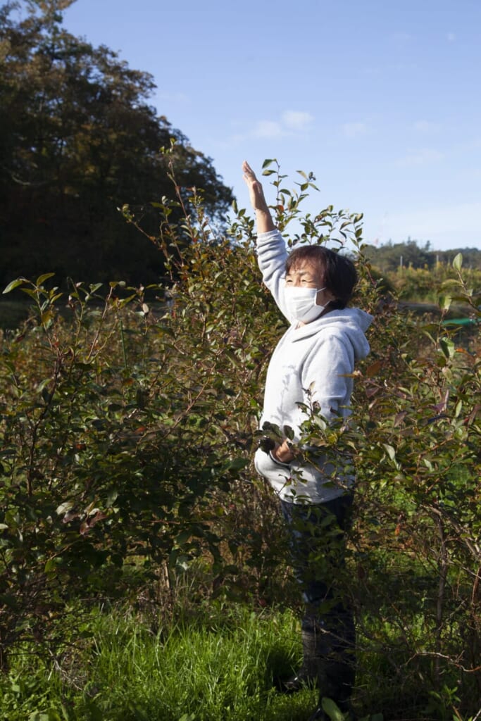 Agricultrice japonaise à Oumi no Sato