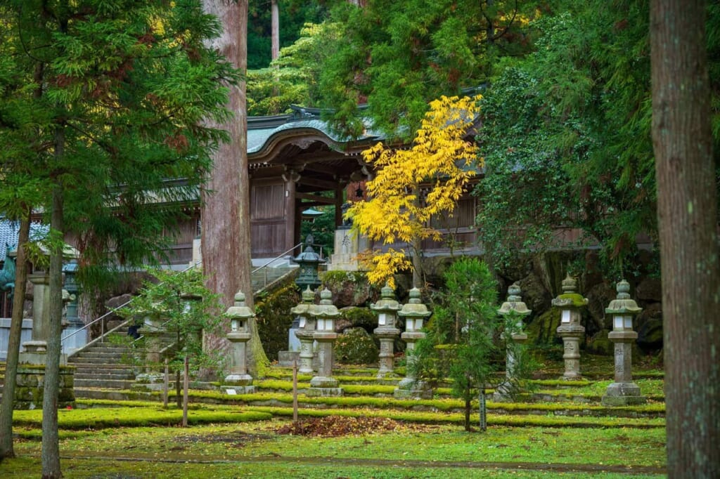 un sanctuaire japonais niché dans une forêt