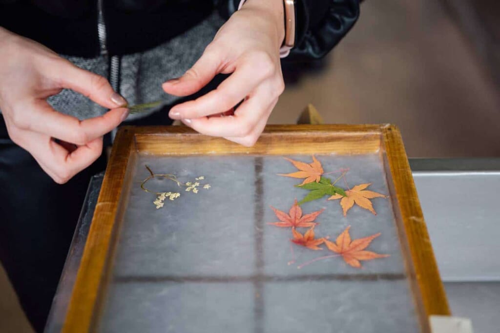 Des fleurs et des feuilles déposées dans une feuille de papier washi au cours de sa fabrication