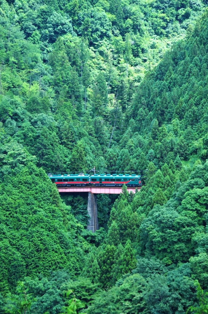 un train passant au milieu des forêts au Japon