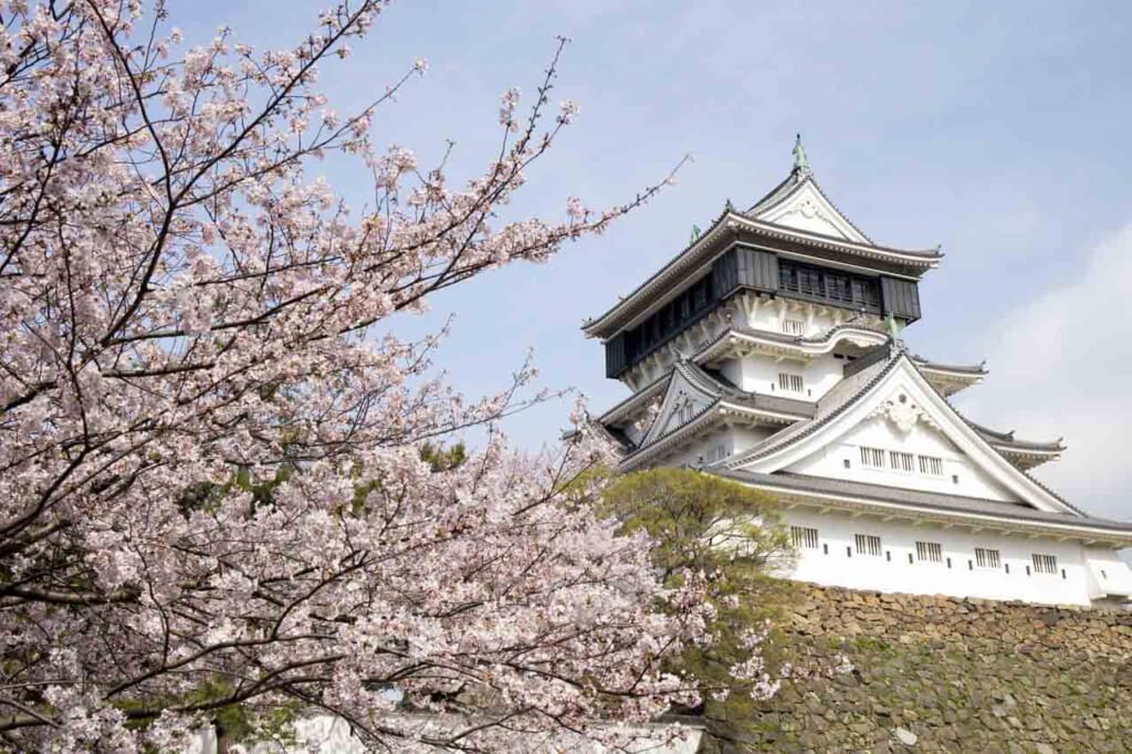 Le château de japonais de Kokura sous les cerisiers en fleur