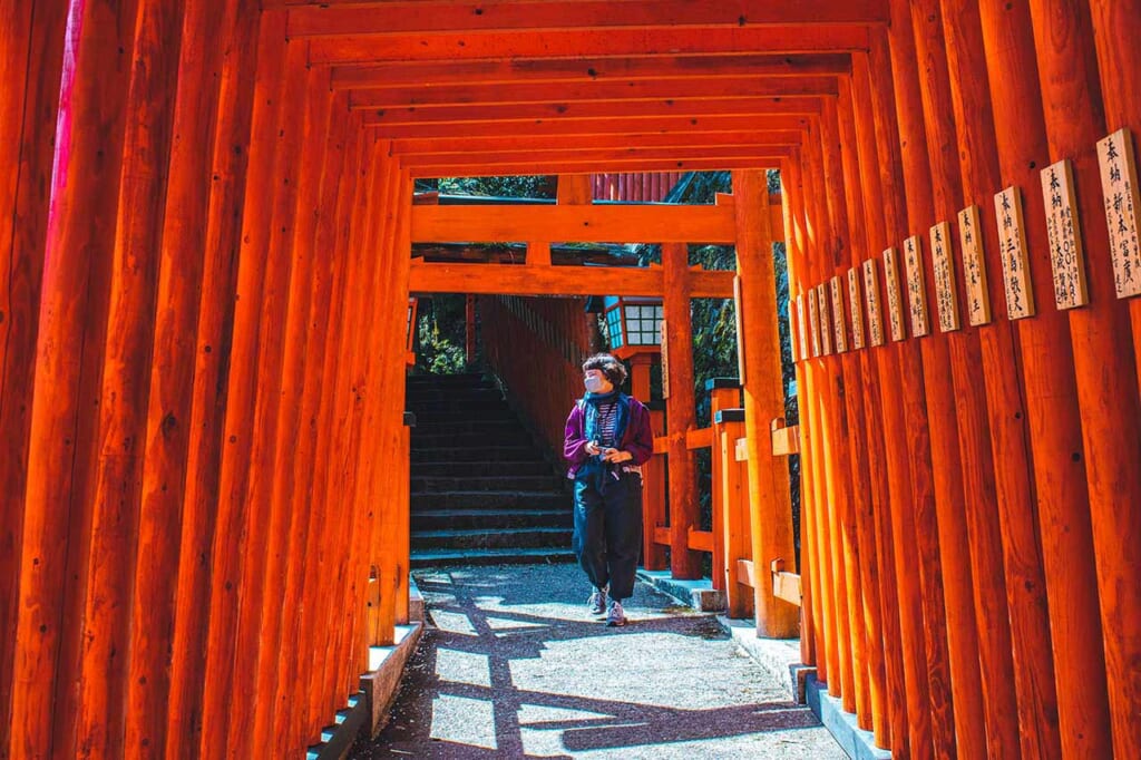 Une femme marchant entre des toriis rouges au Japon