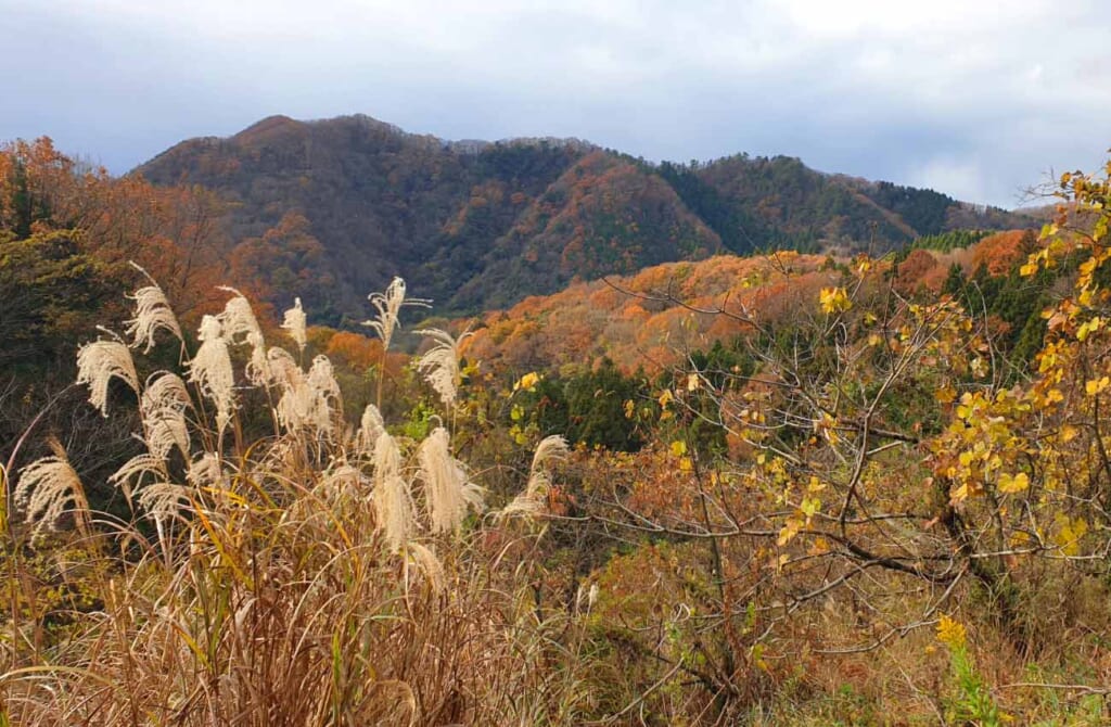 Paysage de montagne au couleurs de l'automne au Japon