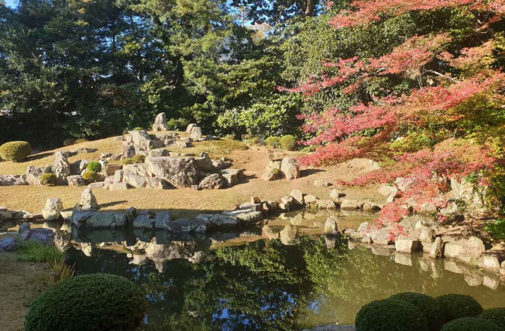 Un jardin japonais avec un étang et un érable japonais