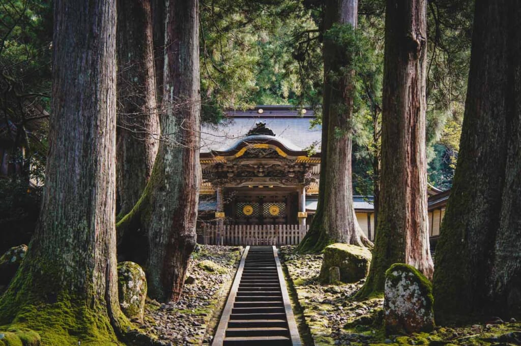 Bâtiment du temple zen Eiheiji de Fukui entre de grands arbres