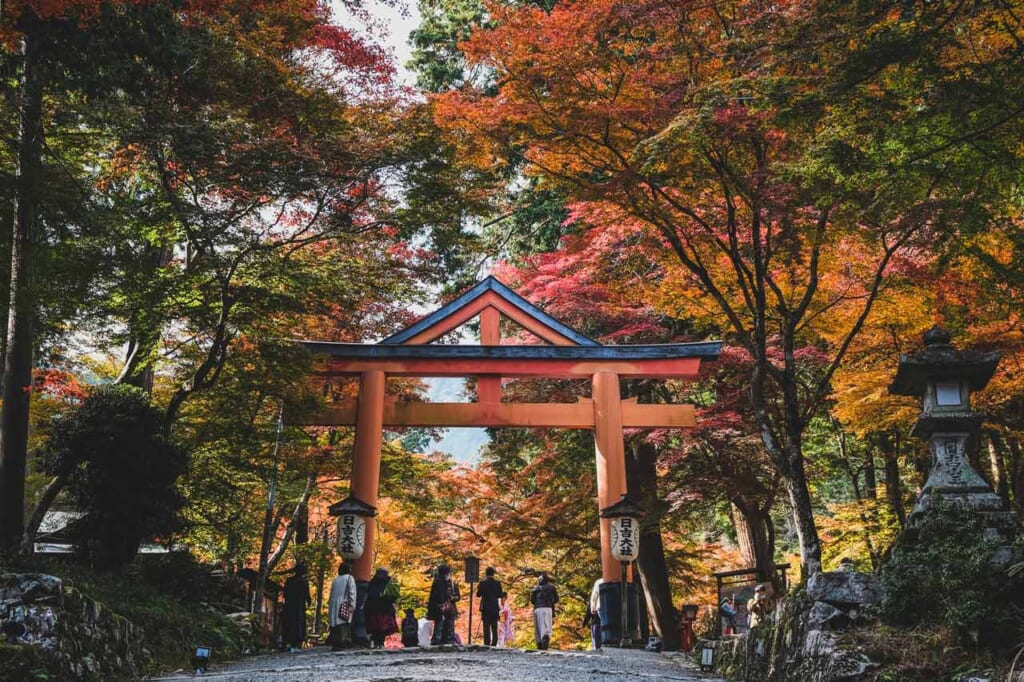 Le torii du sanctuaire Hiyoshi taisha à Shiga pendant le momiji
