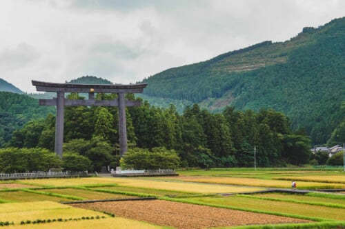 Grand torii de Kumano Hongu Taisha