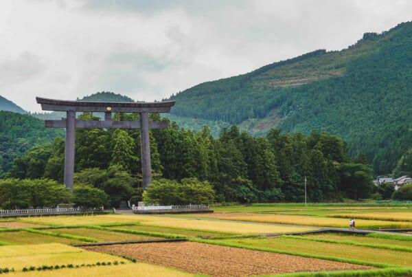 Grand torii de Kumano Hongu Taisha