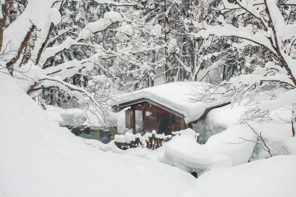 un onsen japonais au milieu d'une forêt recouverte de neige