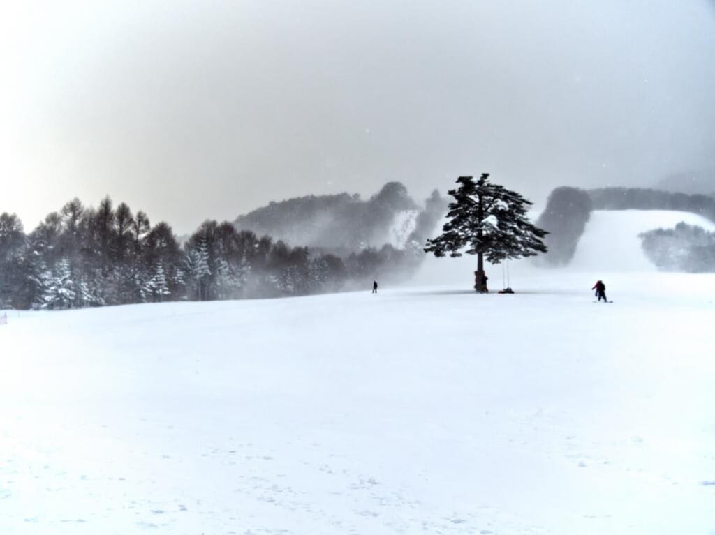 Deux skieurs profitant des sports d'hiver dans une station de ski japonaise du Tohoku