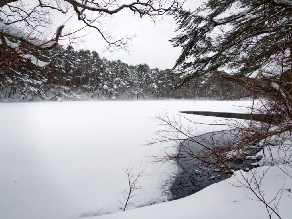 Un étang au milieu de la neige au Japon