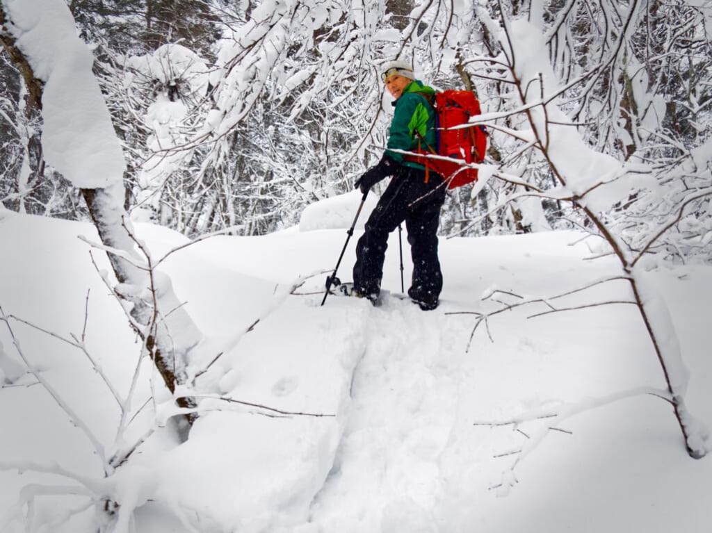 Un homme faisant des raquettes au Japon en hiver, dans une forêt couverte de neige