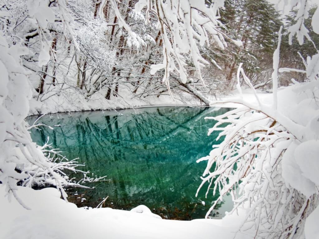 Un étang bleu turquoise entouré de neige dans une forêt japonaise en hiver