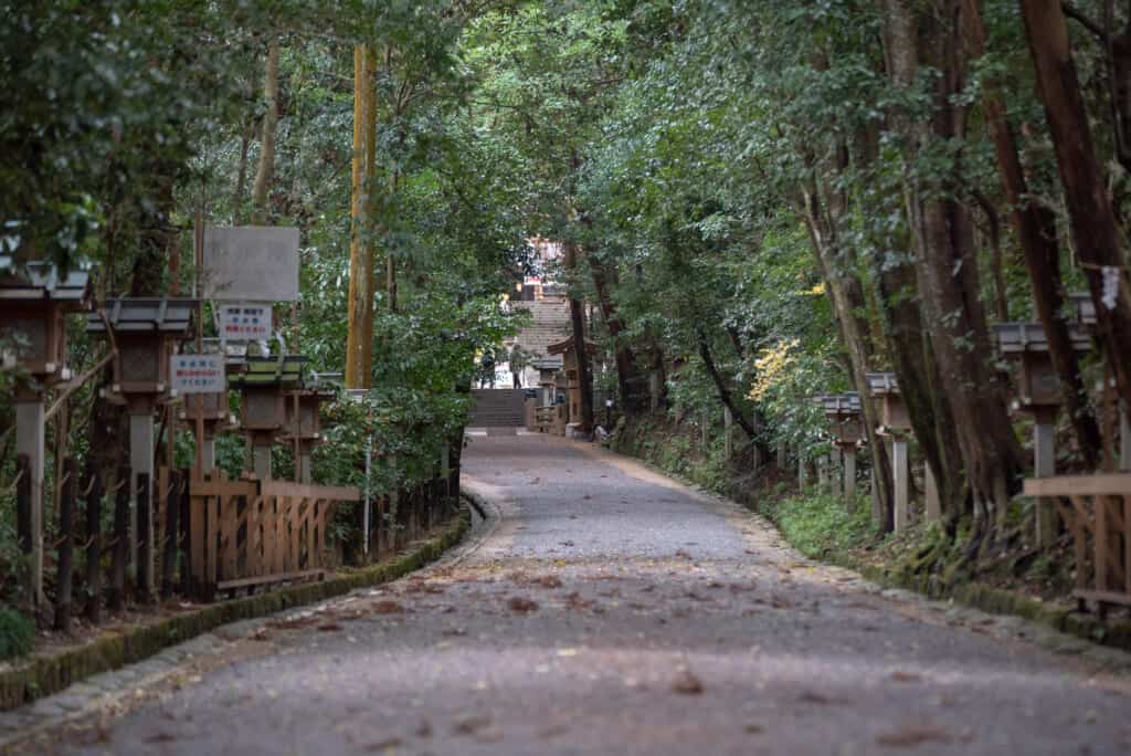 Sentier bordé d'arbres menant à un sanctuaire japonais