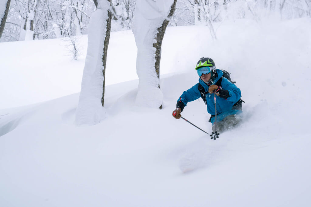 Un skieur dévale une pente dans une neige vierge de toute trace
