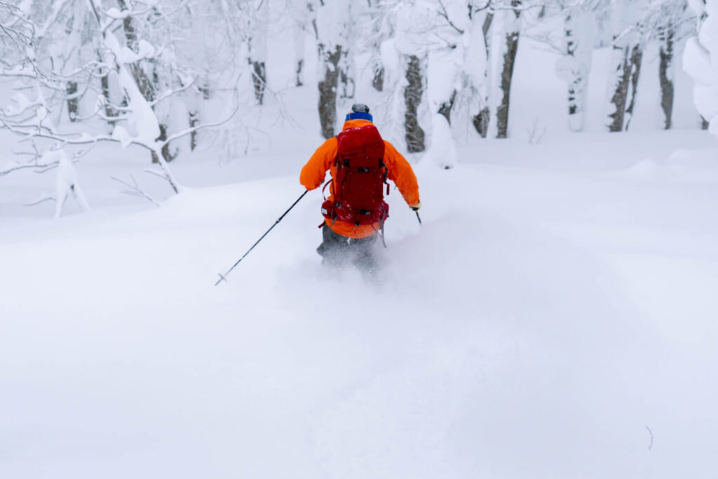 Un homme fait du ski dans la neige poudreuse d'une montagne japonaise