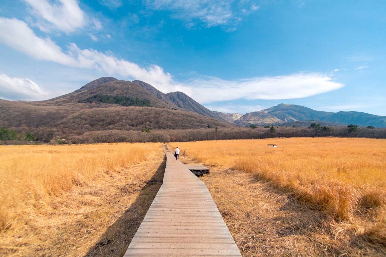 Le marais de Tadewara offre une promenade idéale pour les personnes en quête de randonnées tranquilles dans le parc national d'Aso-Kuju.