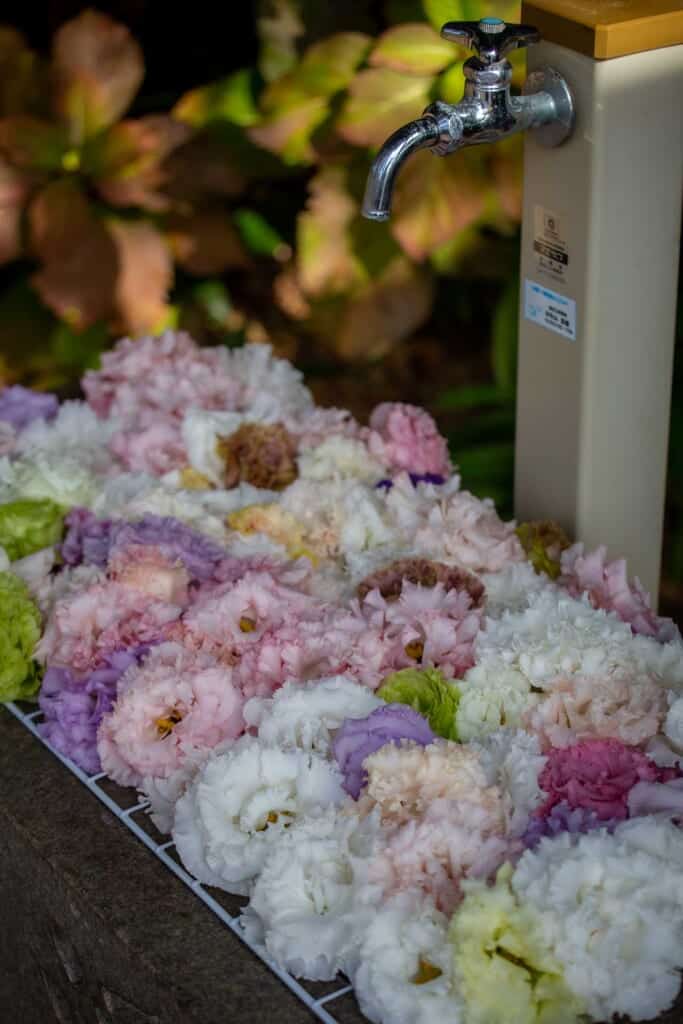 arrivée d'eau d'un sanctuaire japonais décorée de nombreuses fleurs