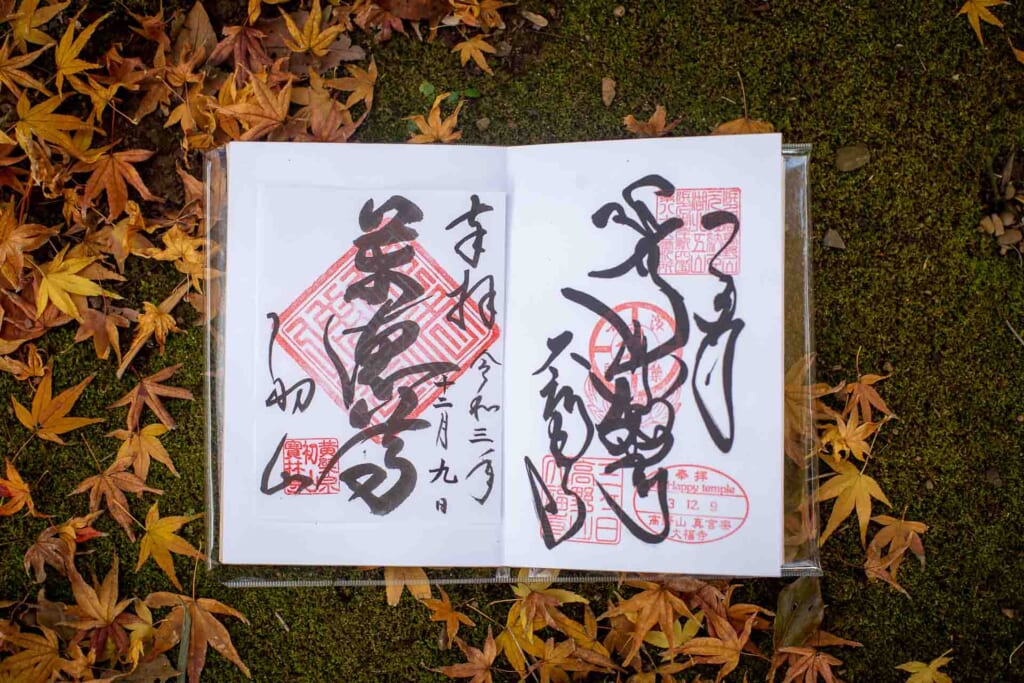 calligraphie japonaise faite dans un temple bouddhiste, photographiée avec des feuilles d'érable japonais