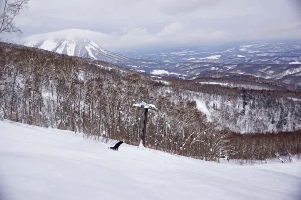 Un snowboardeur descend une piste de ski non damée à Hokkaido