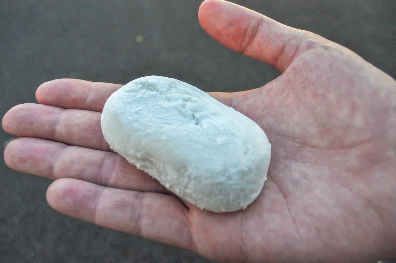 Délicieux Shio-daifuku de chez Mizuno à Sugamo