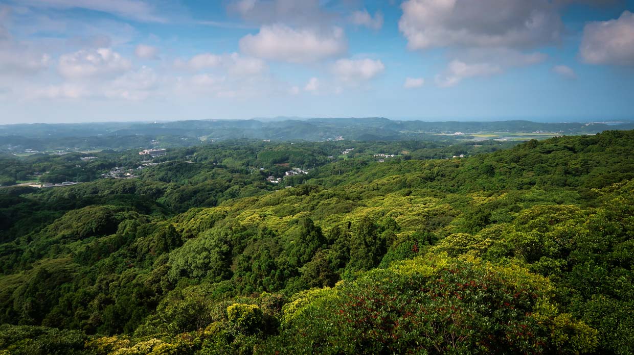Forêts verdoyantes vues depuis le mont Takenotsuji sur l'île d'Iki