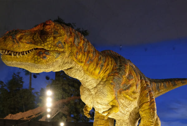 Musée des dinosaures à Fukui