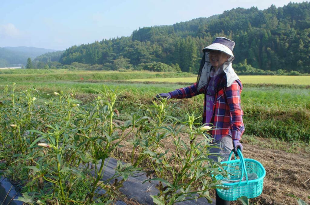 Agricultrice japonaise dans les champs de sa ferme dans un paysage de montagnes et de rizières