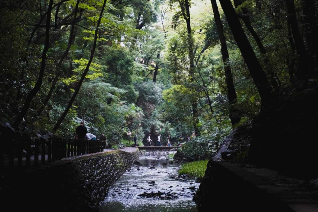 Personnes traversant un pont dans la vallée de Todoroki à Tokyo