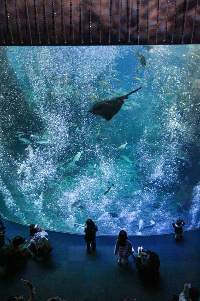 Le grand bassin de l'aquarium d'Enoshima