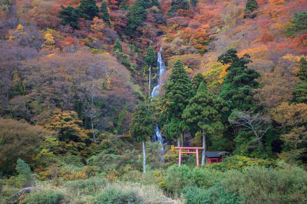 Une cascade qui parcourt une forêt japonaise durant l'automne
