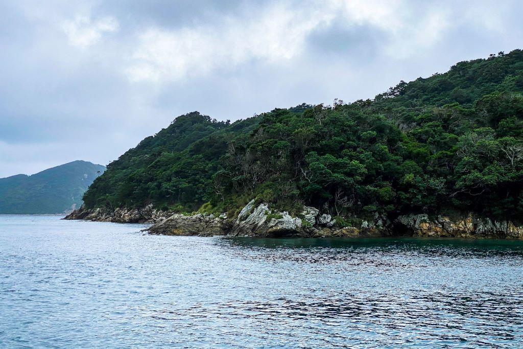Une petite île japonaise recouverte de forêt