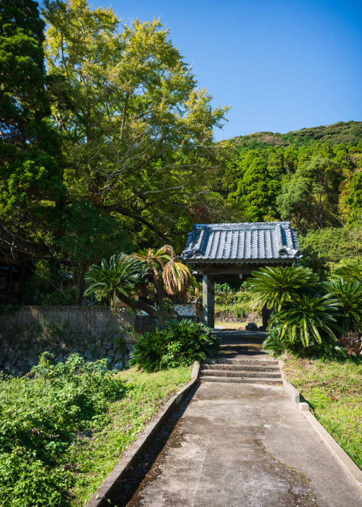 chemin vide entouré de verdure aboutissant à un portail de temple