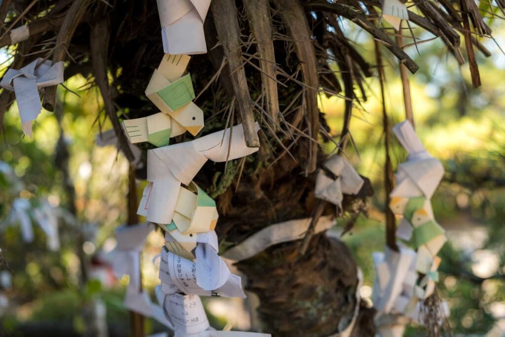 Oiseaux de papier accrochés à un arbre au Japon
