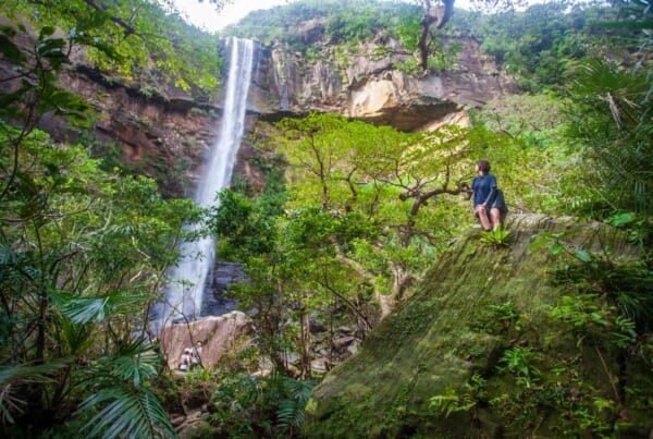 personne perchée sur un rocher qui regarde une cascade dans la jungle d'Iriomote