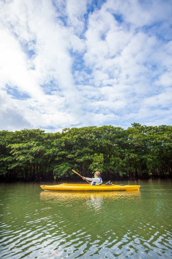 en kayak dans la mangrove d'Iriomote