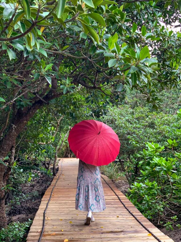 femme marchant avec un parasol sur un chemin forestier