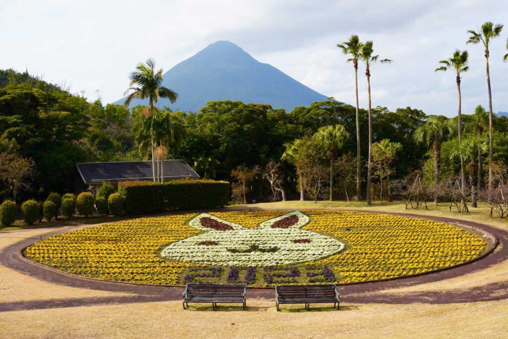 Champ de fleurs planté pour l'année du lapin 2023 au Japon