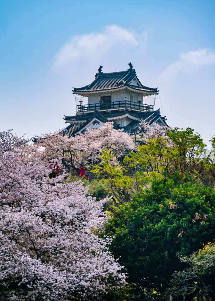 Le château de Hamamatsu derrière des cerisiers en fleur au Japon