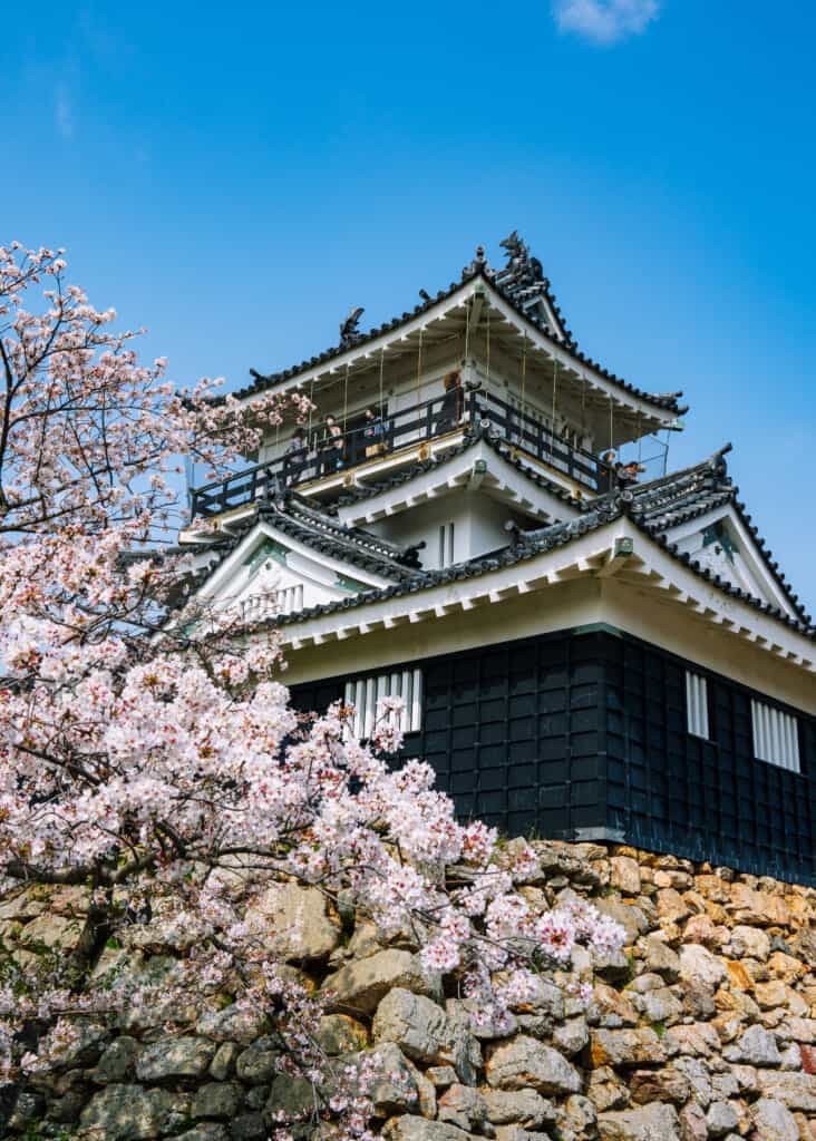 Le château de Hamamatsu derrière un cerisier en fleur au Japon