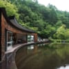 Picchio, centre de recherche sur la faune au Japon