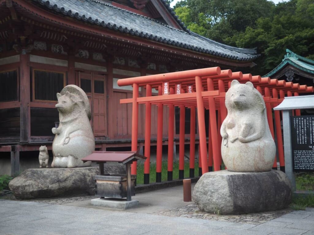 torii et tanuki