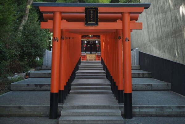 torii alignées