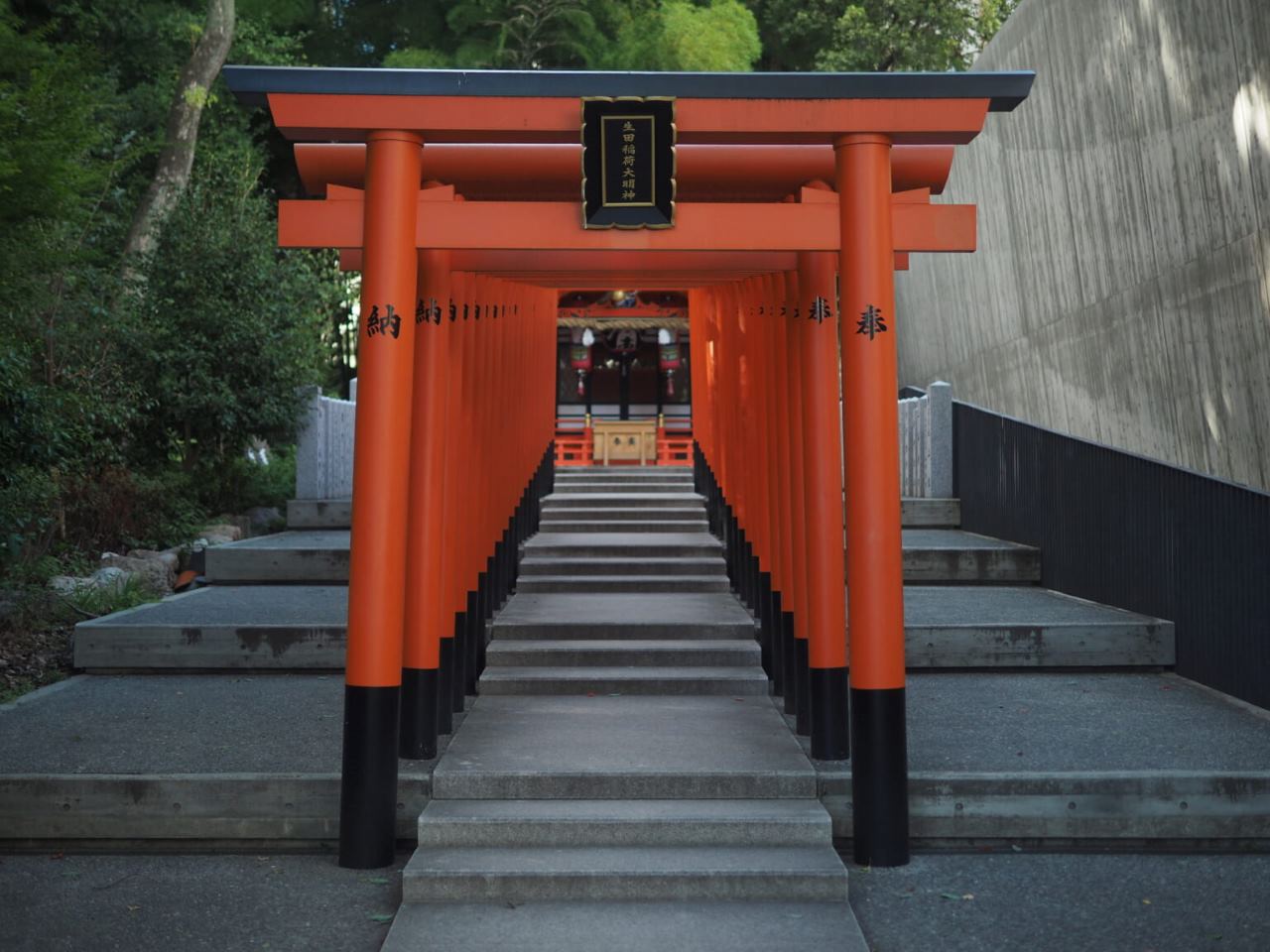 torii alignées
